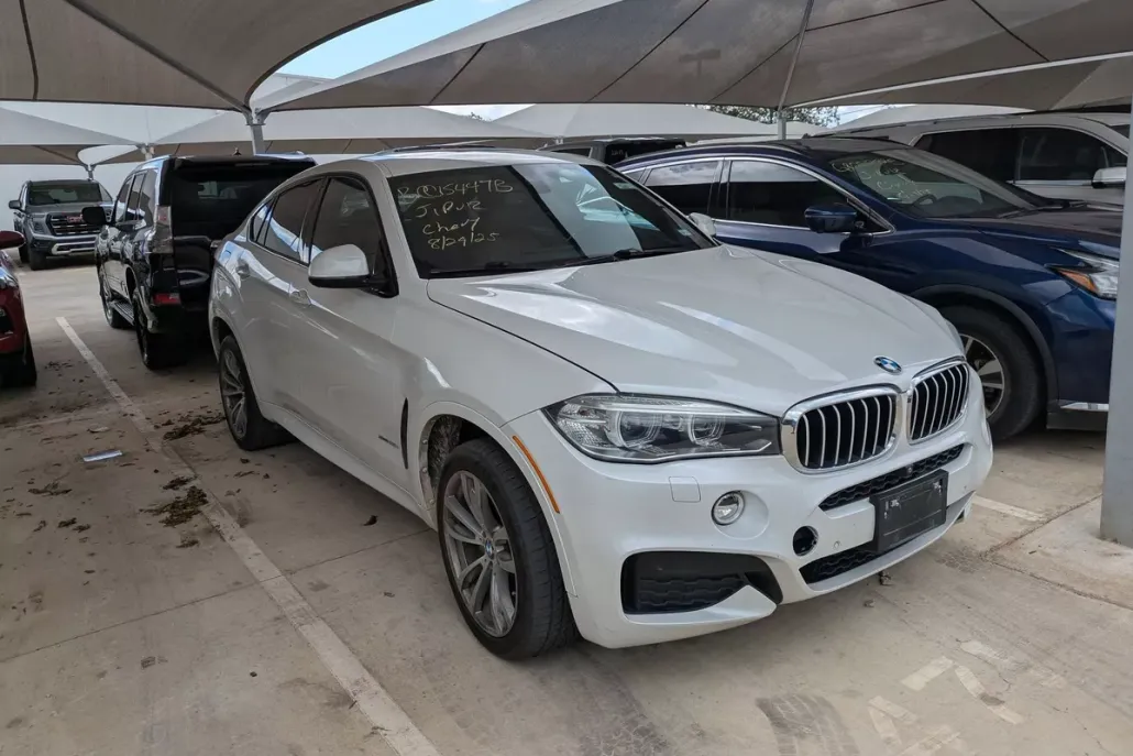 2016 Bmw X6 xDrive50i photo 1