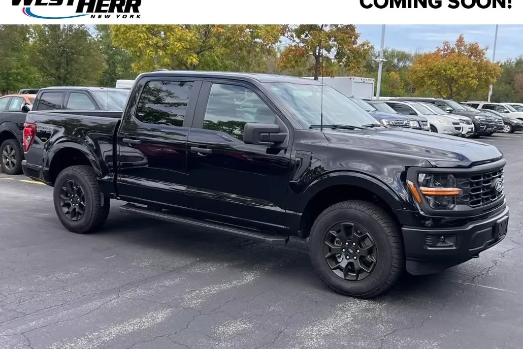 2025 Ford F-150 STX photo 1