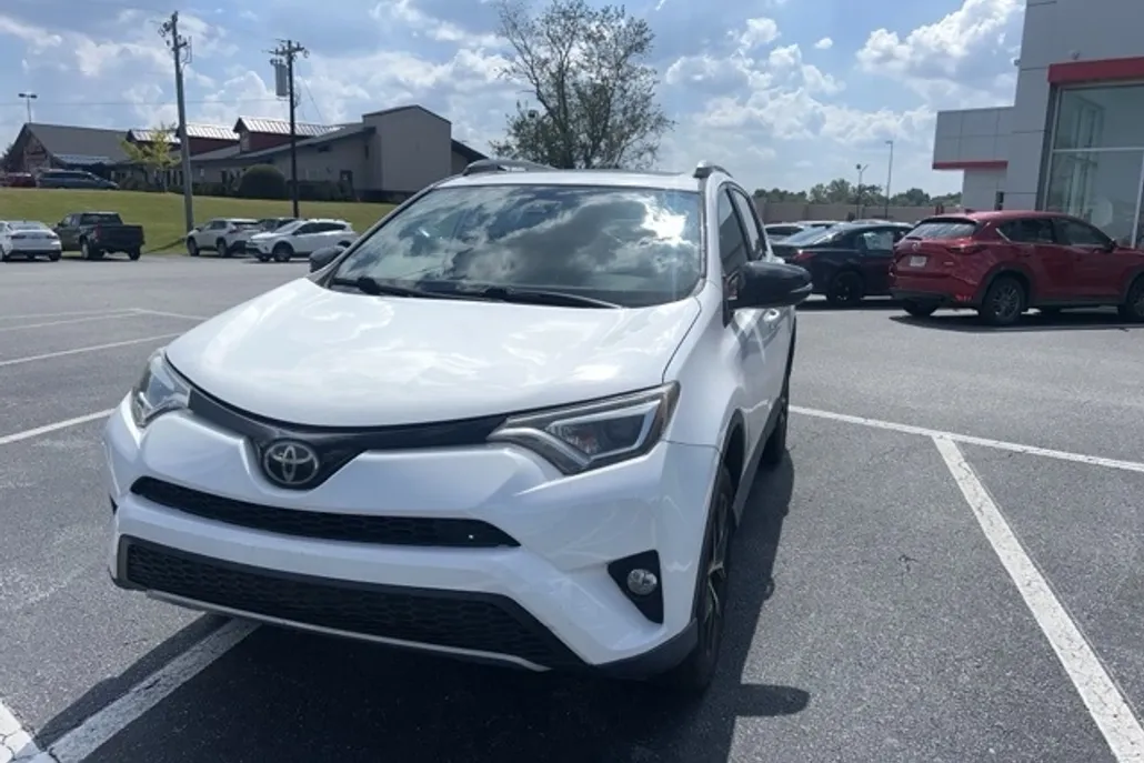 2017 Toyota RAV4 SE photo 1