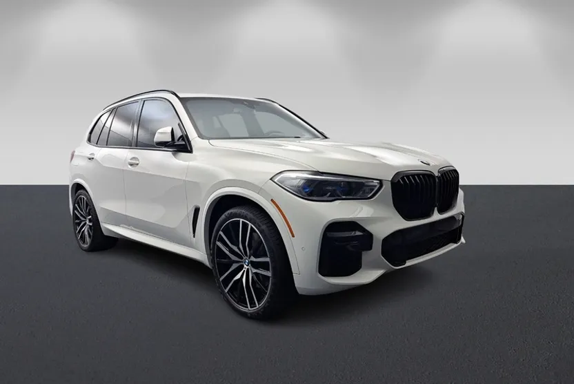 2023 Bmw X5 sDrive40i photo 1