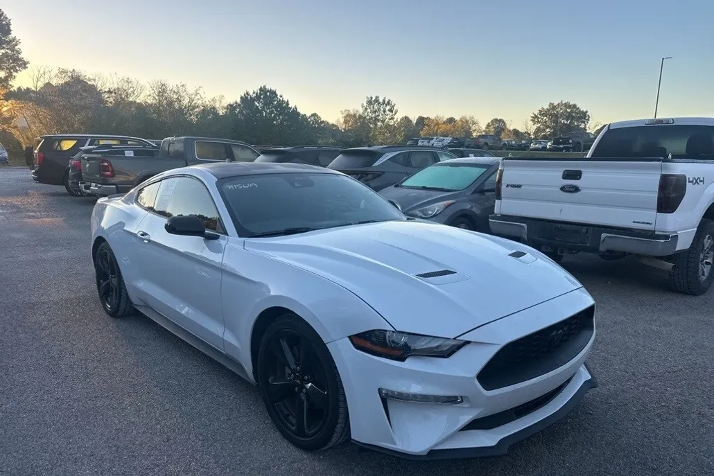 2021 Ford Mustang EcoBoost photo 1
