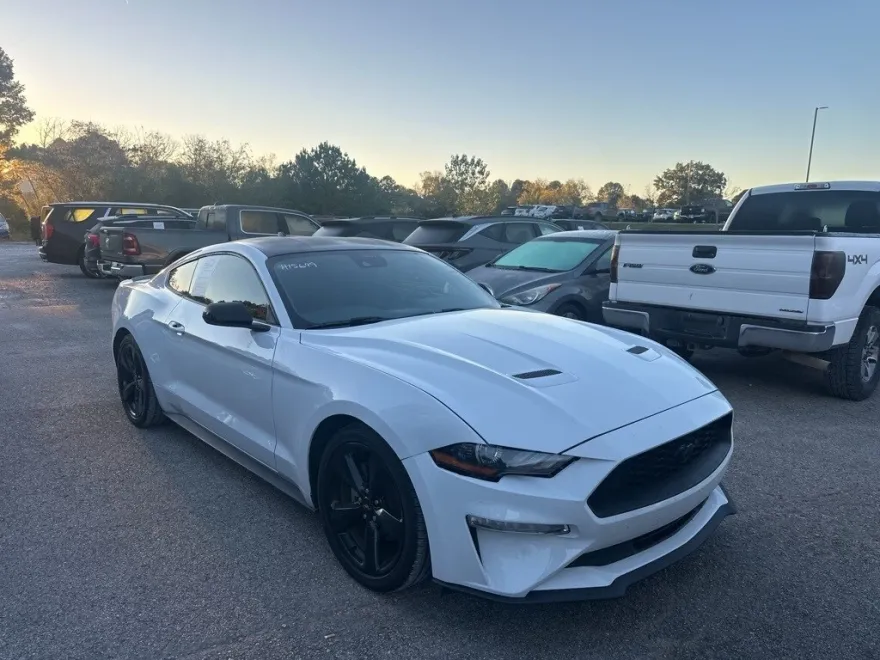 2021 Ford Mustang EcoBoost photo 1