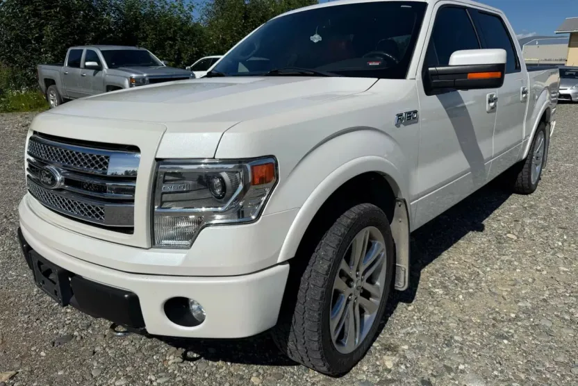 2013 Ford F-150 photo 1