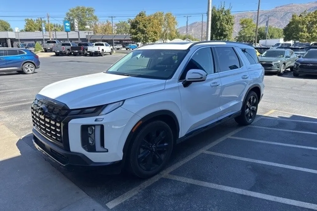 2024 Hyundai Palisade XRT photo 1