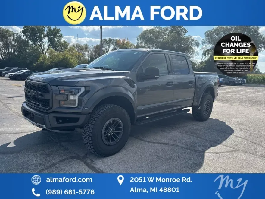 2019 Ford F-150 Raptor photo 1