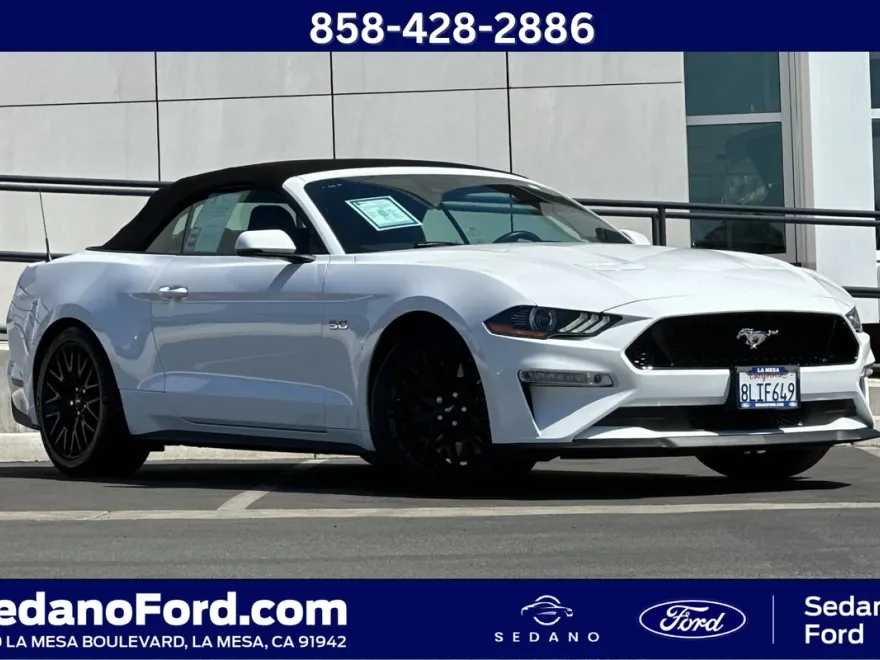 2019 Ford Mustang GT Premium photo 1