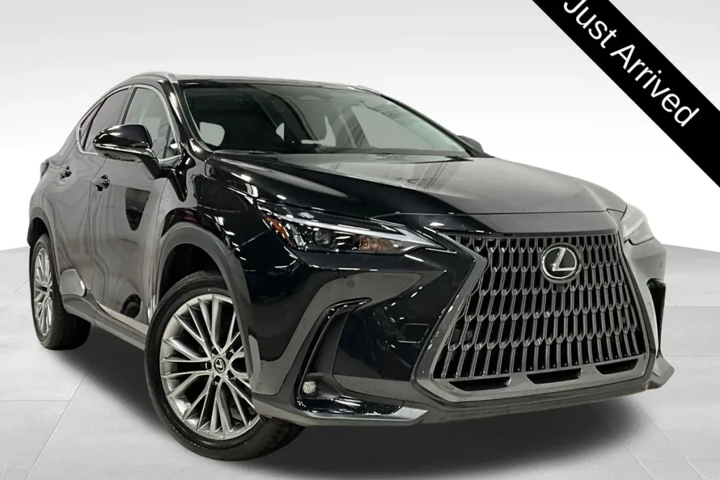 2025 Lexus NX 350h Premium photo 1