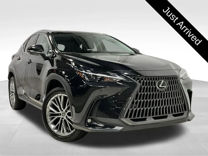 2025 Lexus NX 350h Premium photo 1
