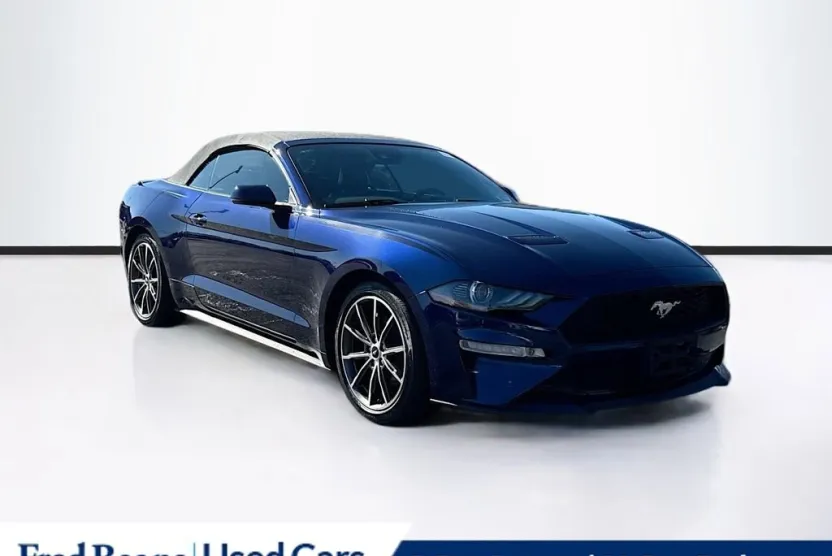 2019 Ford Mustang EcoBoost Premium photo 1