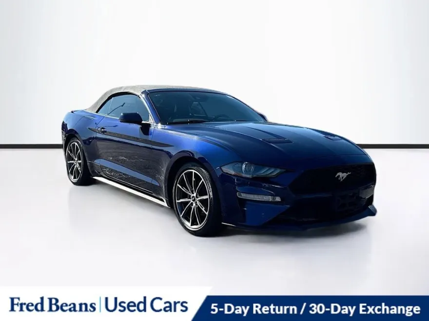 2019 Ford Mustang EcoBoost Premium photo 1