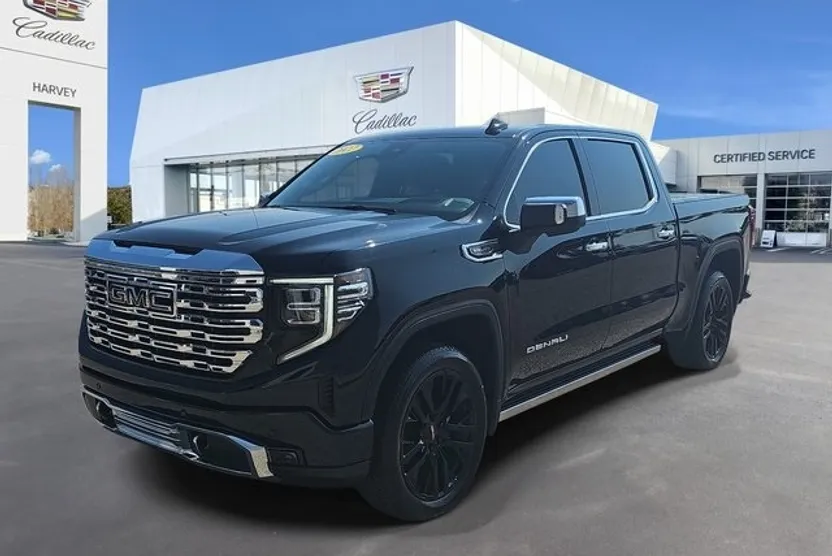 2022 Gmc Sierra 1500 Denali photo 1