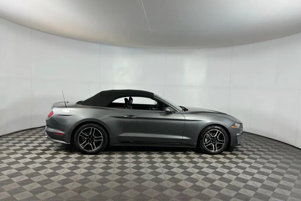 2023 Ford Mustang EcoBoost Premium photo 1