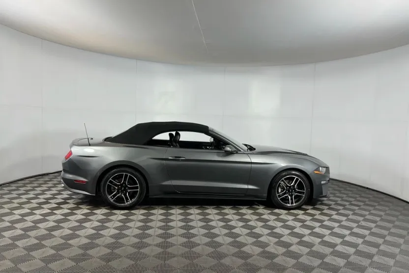 2023 Ford Mustang EcoBoost Premium photo 1