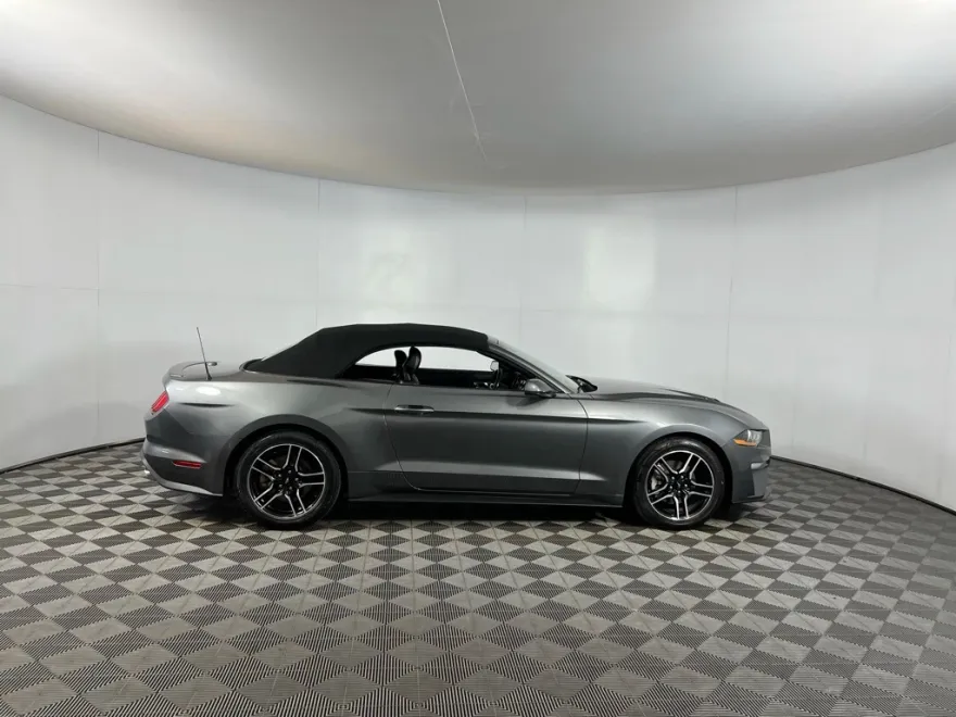 2023 Ford Mustang EcoBoost Premium photo 1