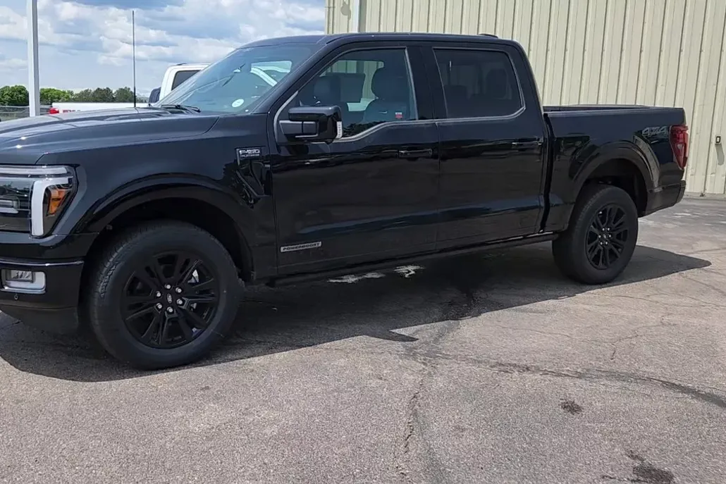 2025 Ford F-150 Platinum photo 1