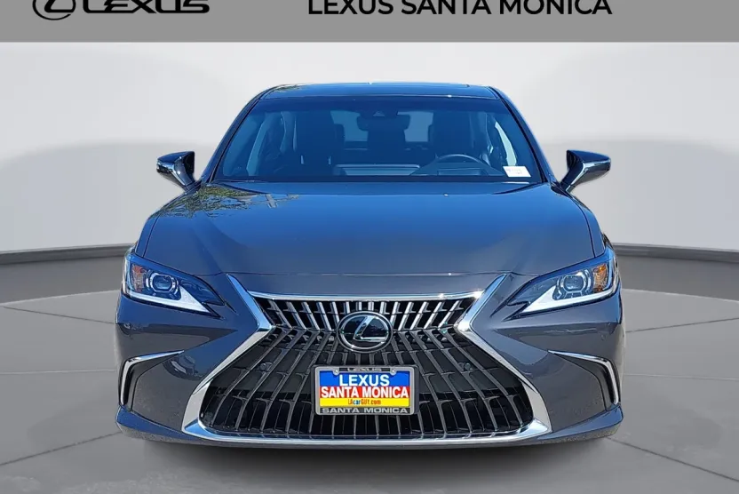 2025 Lexus ES 300h photo 1