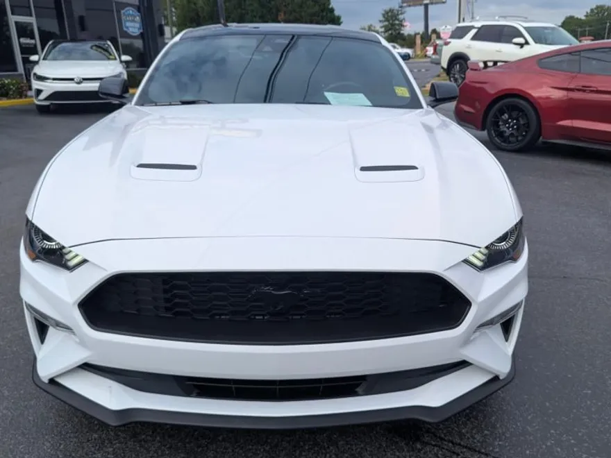 2023 Ford Mustang EcoBoost photo 1