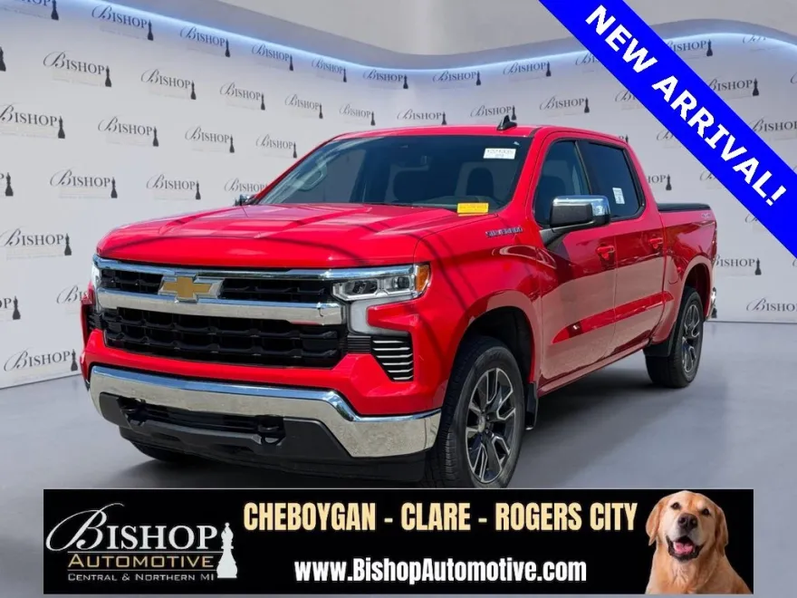 2022 Chevrolet Silverado 1500 LT photo 1