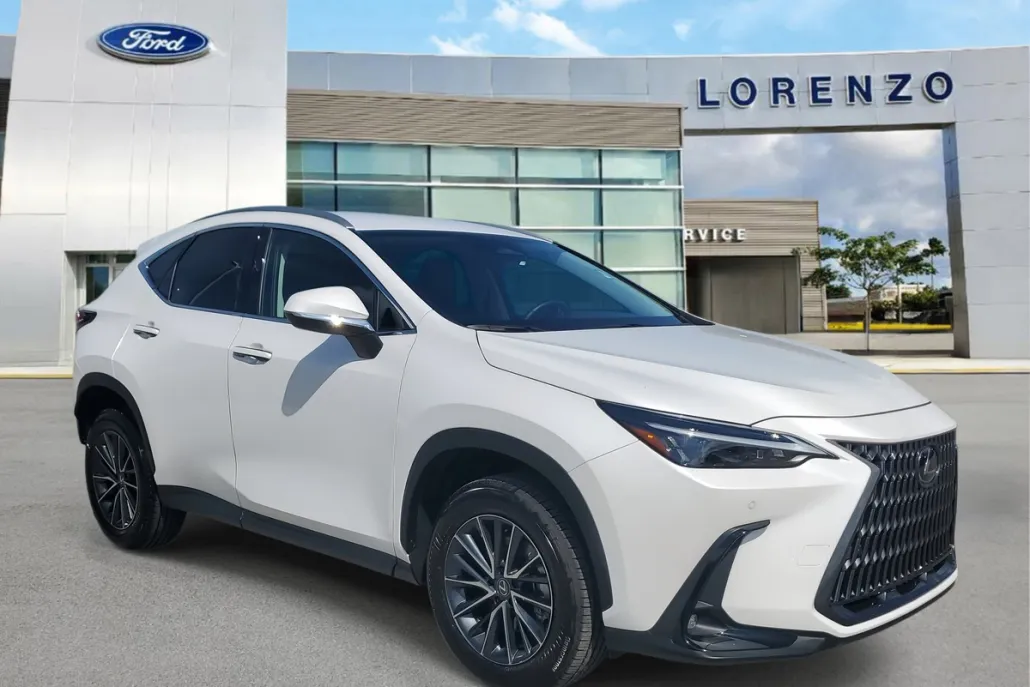 2025 Lexus NX 250 photo 1