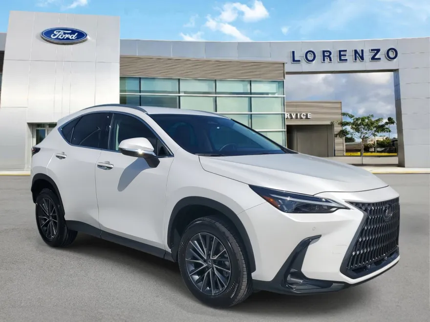2025 Lexus NX 250 photo 1