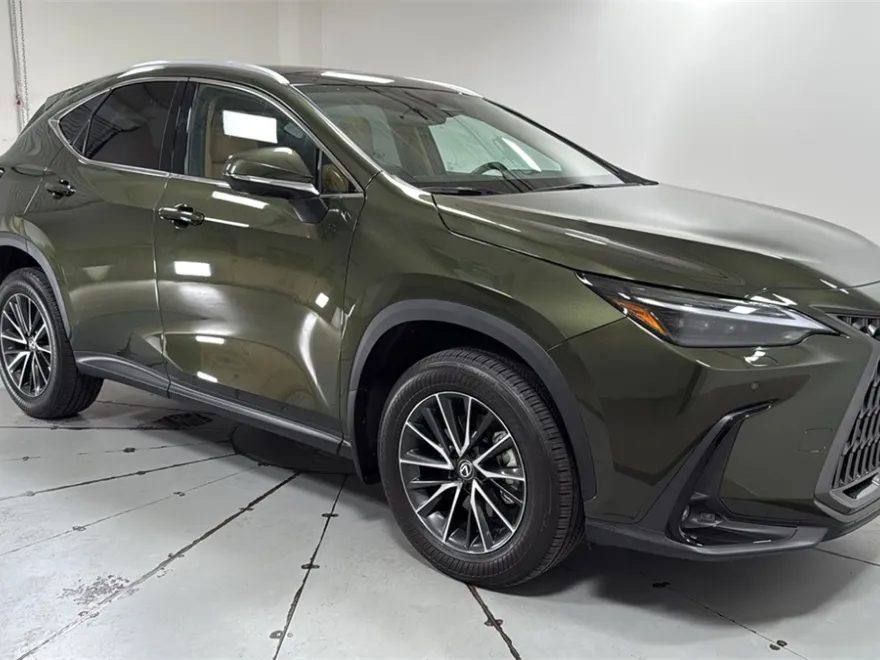 2024 Lexus NX 350 Luxury photo 1