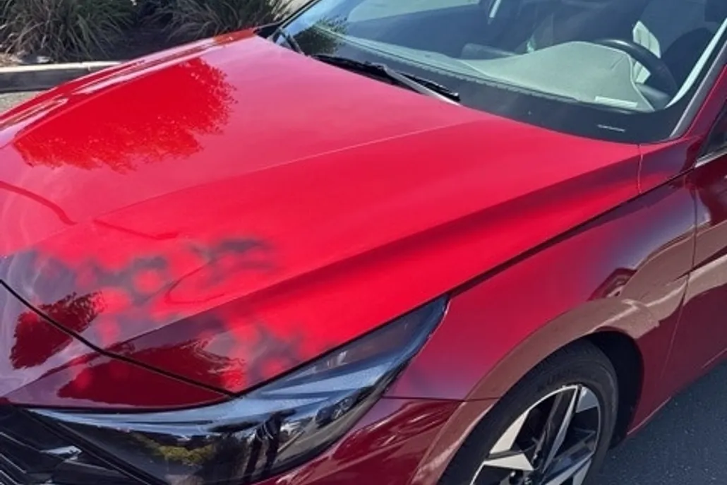 2023 Hyundai Elantra Limited photo 1