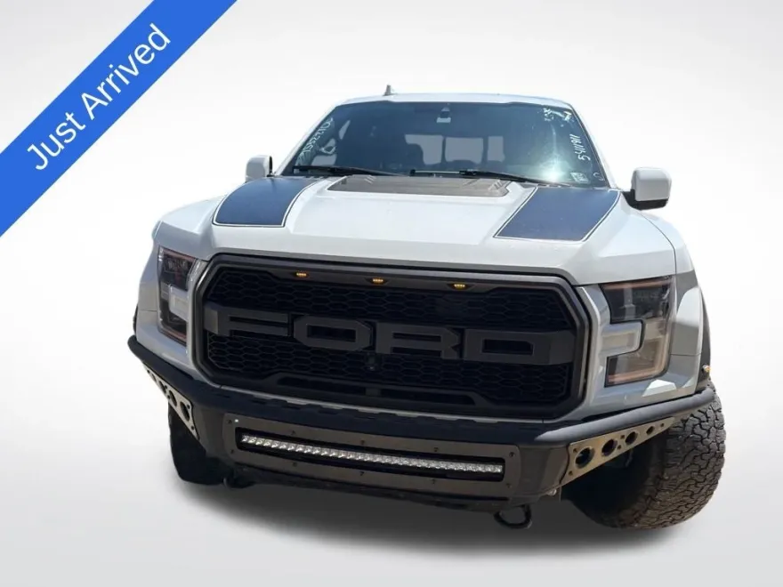 2019 Ford F-150 Raptor photo 1