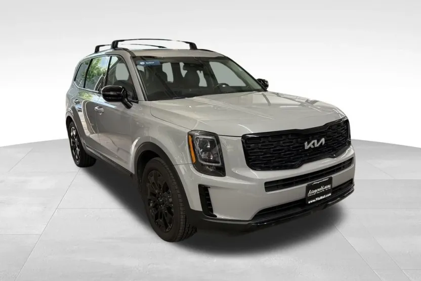 2022 Kia Telluride EX photo 1
