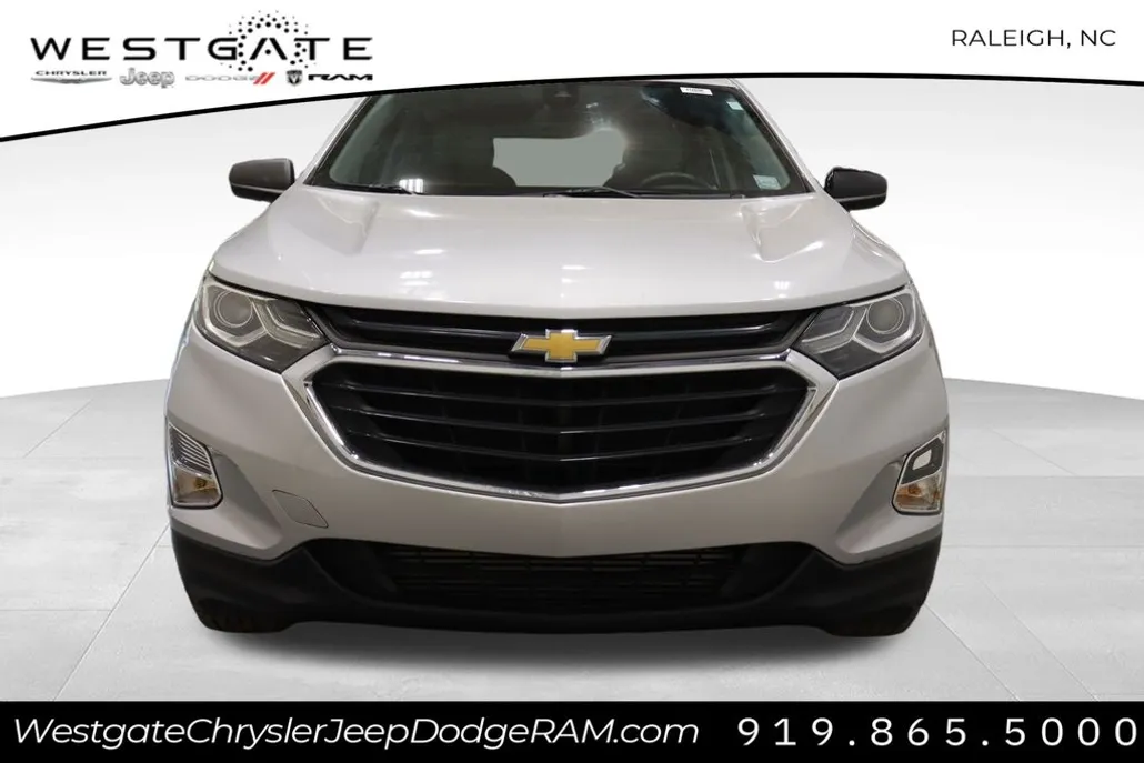 2020 Chevrolet Equinox LS photo 1