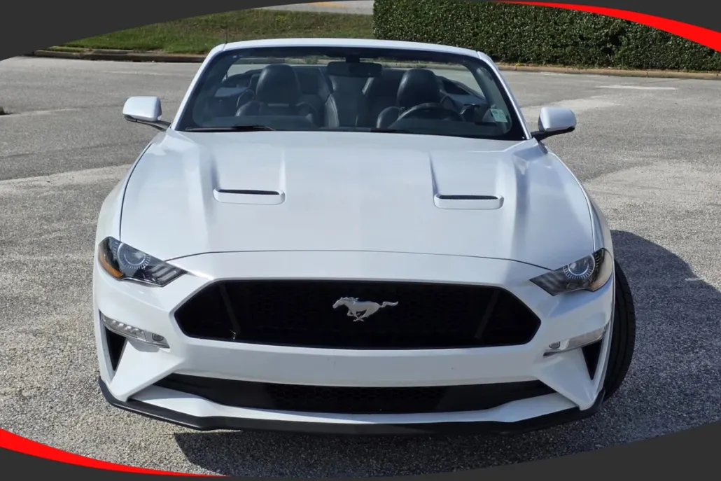 2019 Ford Mustang GT Premium Convertible photo 1
