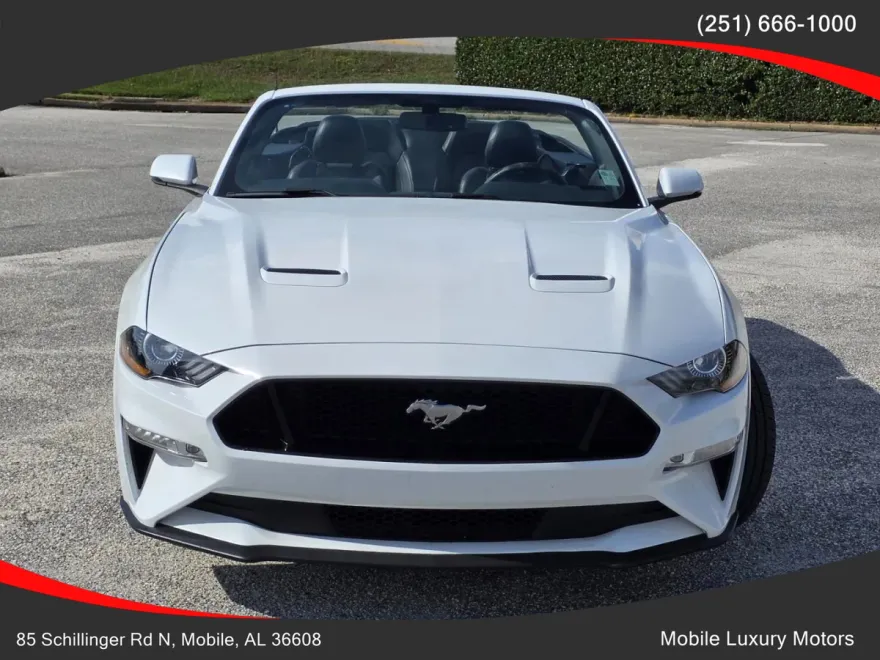 2019 Ford Mustang GT Premium Convertible photo 1