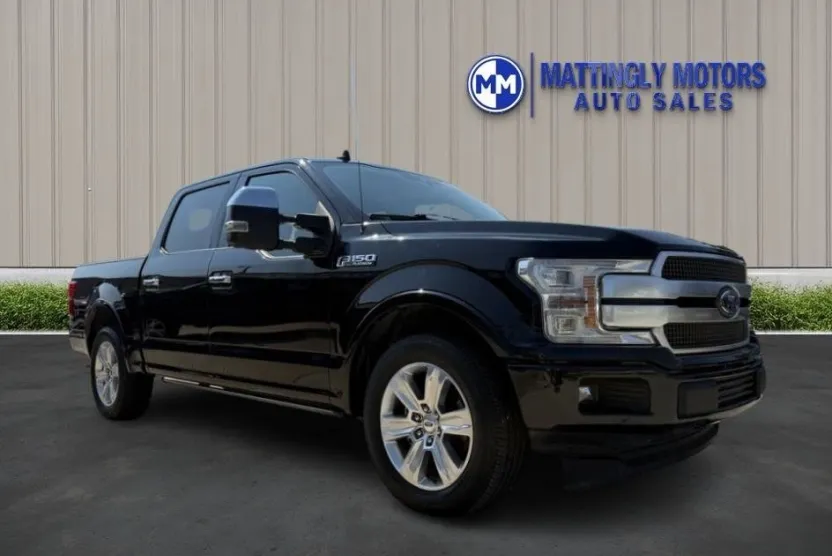 2019 Ford F-150 Platinum photo 1
