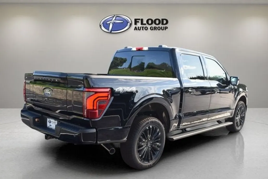 2025 Ford F-150 Platinum photo 1