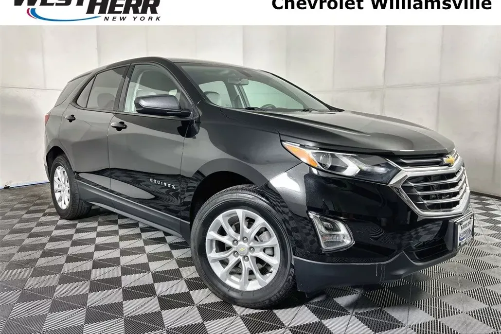 2019 Chevrolet Equinox LS photo 1