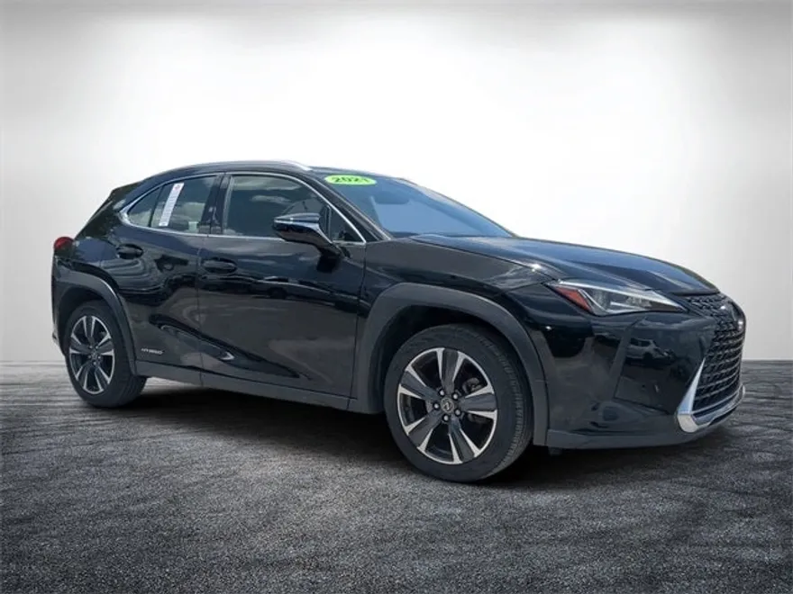 2021 Lexus UX 250h photo 1