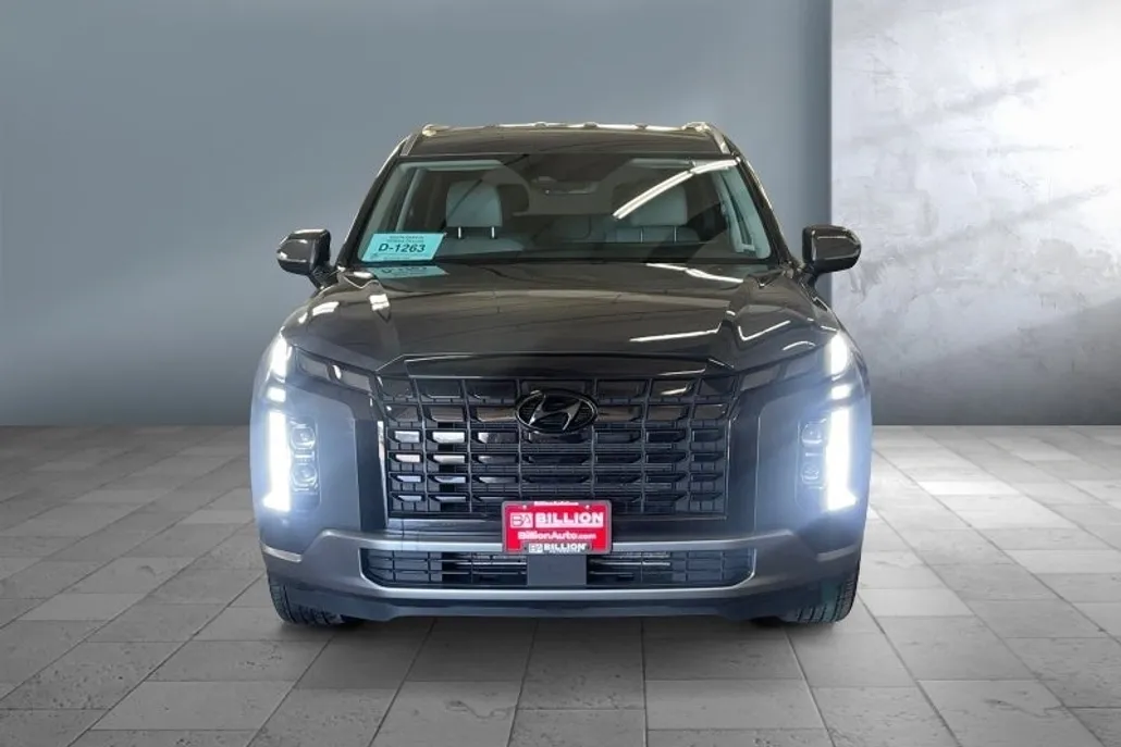 2025 Hyundai Palisade SEL photo 1