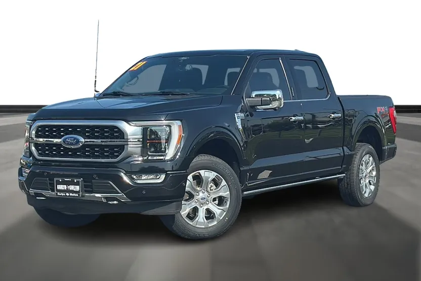 2021 Ford F-150 Platinum photo 1