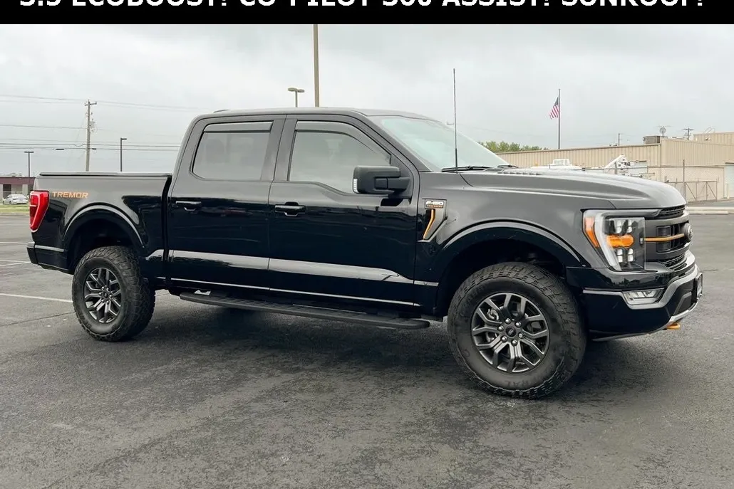 2023 Ford F-150 Tremor photo 1