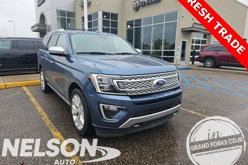 2019 Ford Expedition Platinum photo 1