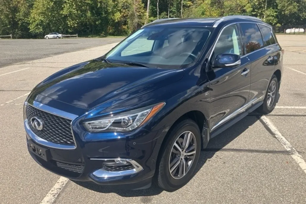 2019 Infiniti QX60 Luxe photo 1