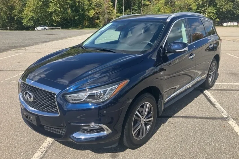 2019 Infiniti QX60 Luxe photo 1