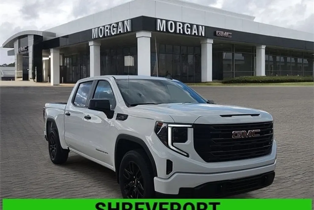 2025 Gmc Sierra 1500 Pro photo 1