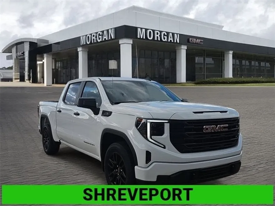 2025 Gmc Sierra 1500 Pro photo 1