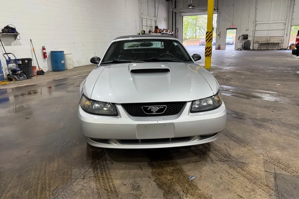 2001 Ford Mustang GT photo 1