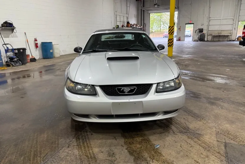 2001 Ford Mustang GT photo 1