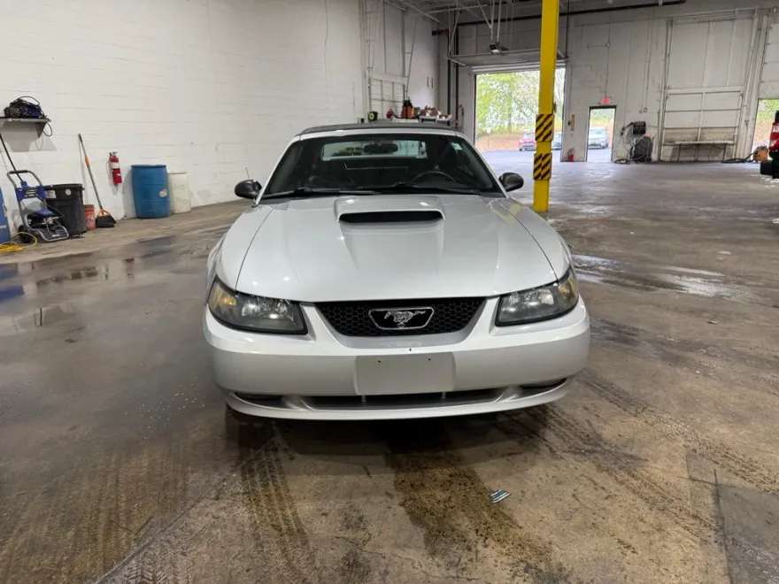 2001 Ford Mustang GT photo 1