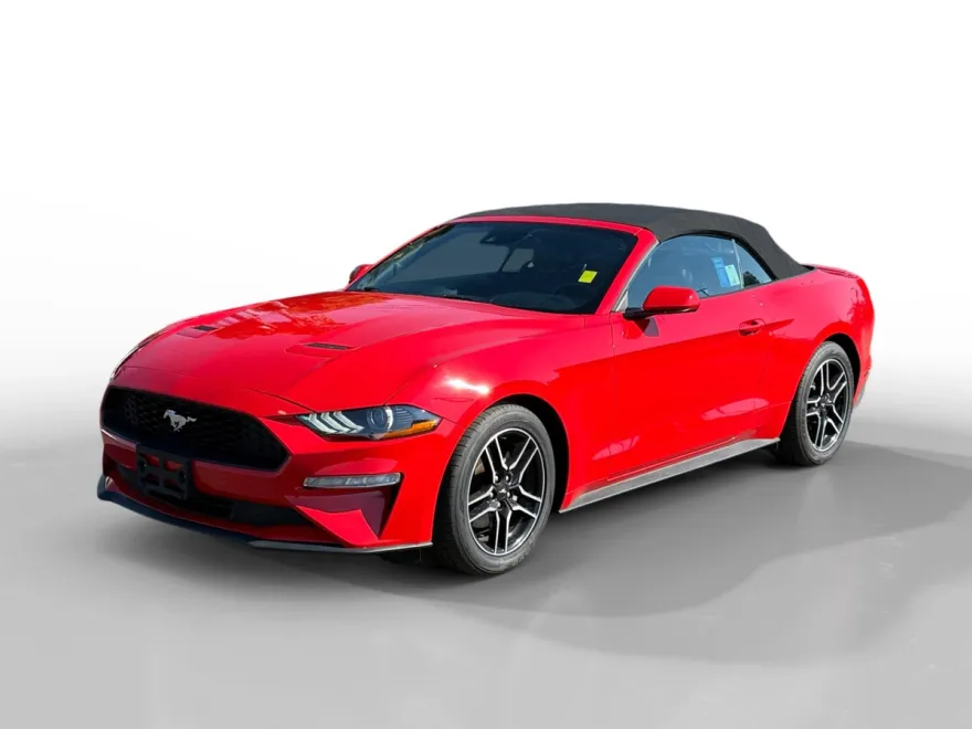 2023 Ford Mustang EcoBoost Premium photo 1