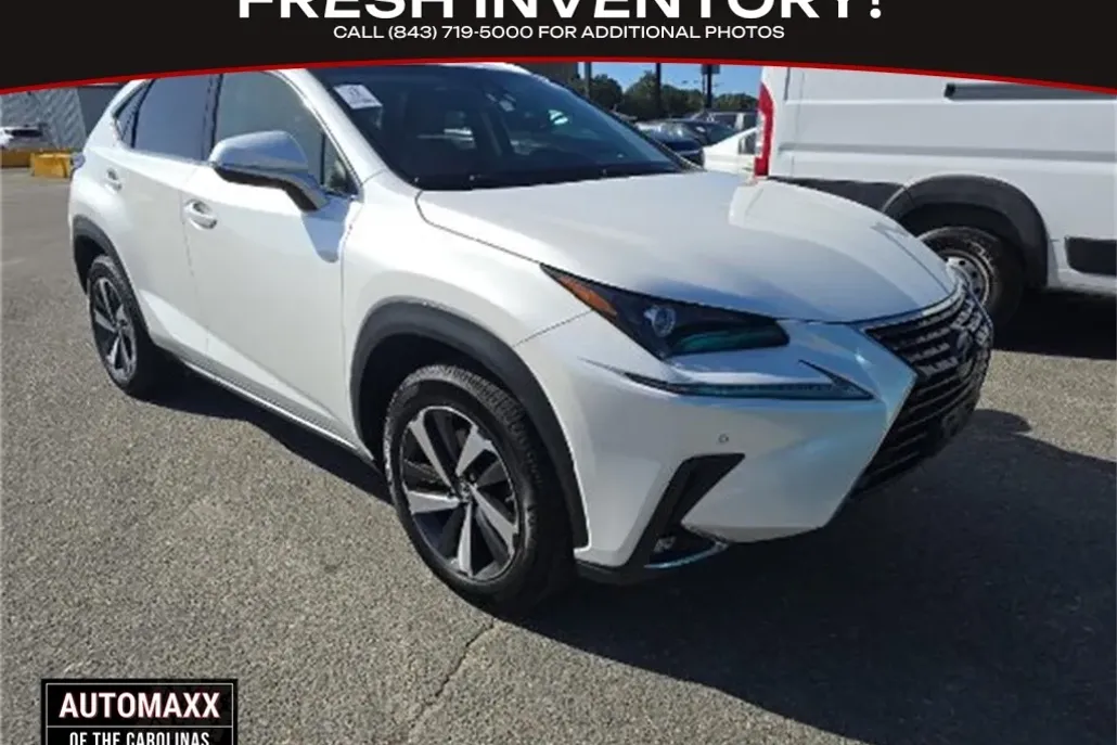 2019 Lexus NX 300 Luxury photo 1