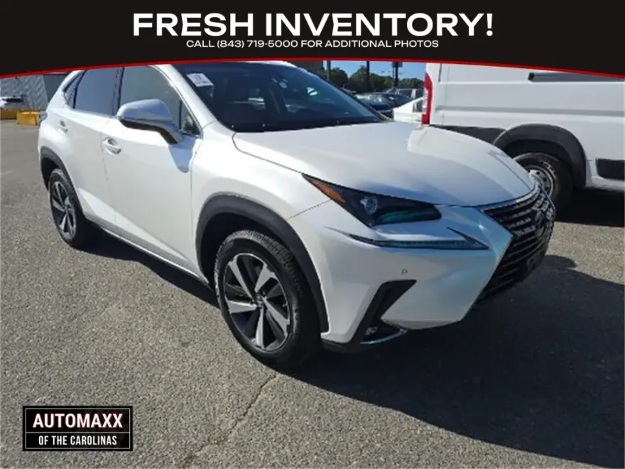 2019 Lexus NX 300 Luxury photo 1