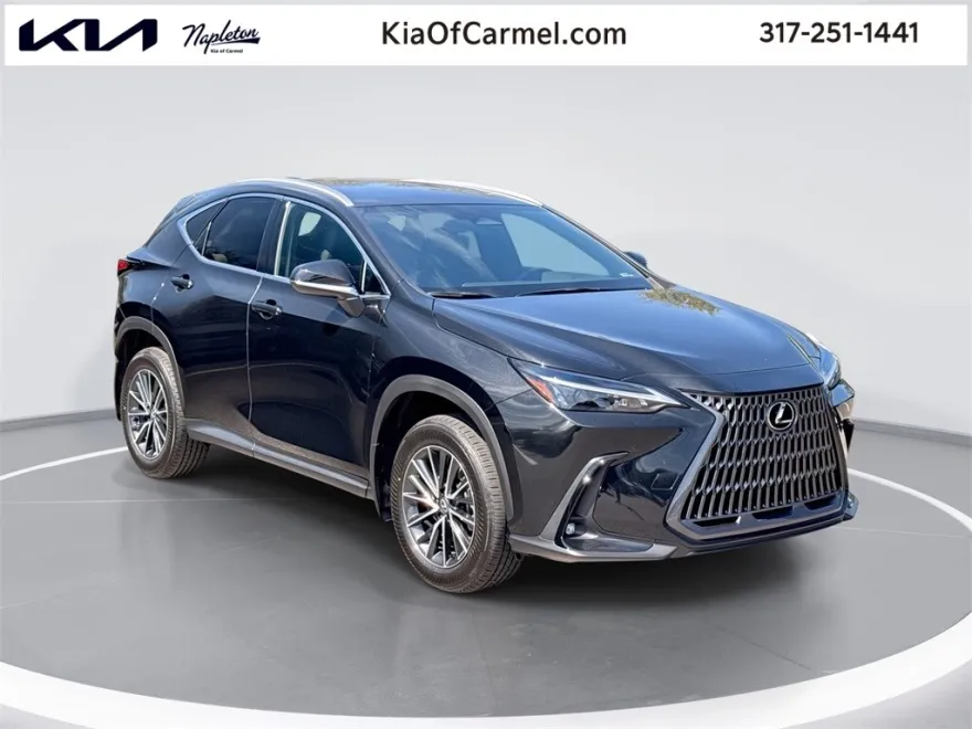 2024 Lexus NX 250 photo 1